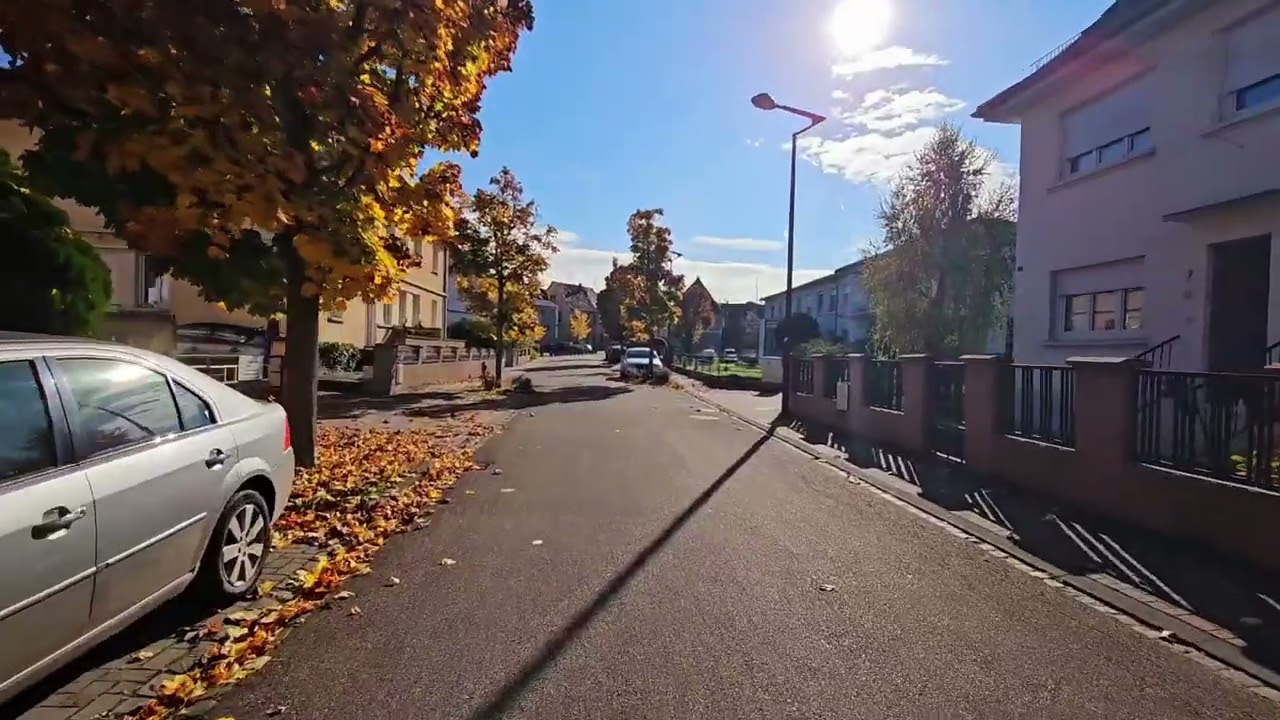 5 November 2024 Lauterbourg