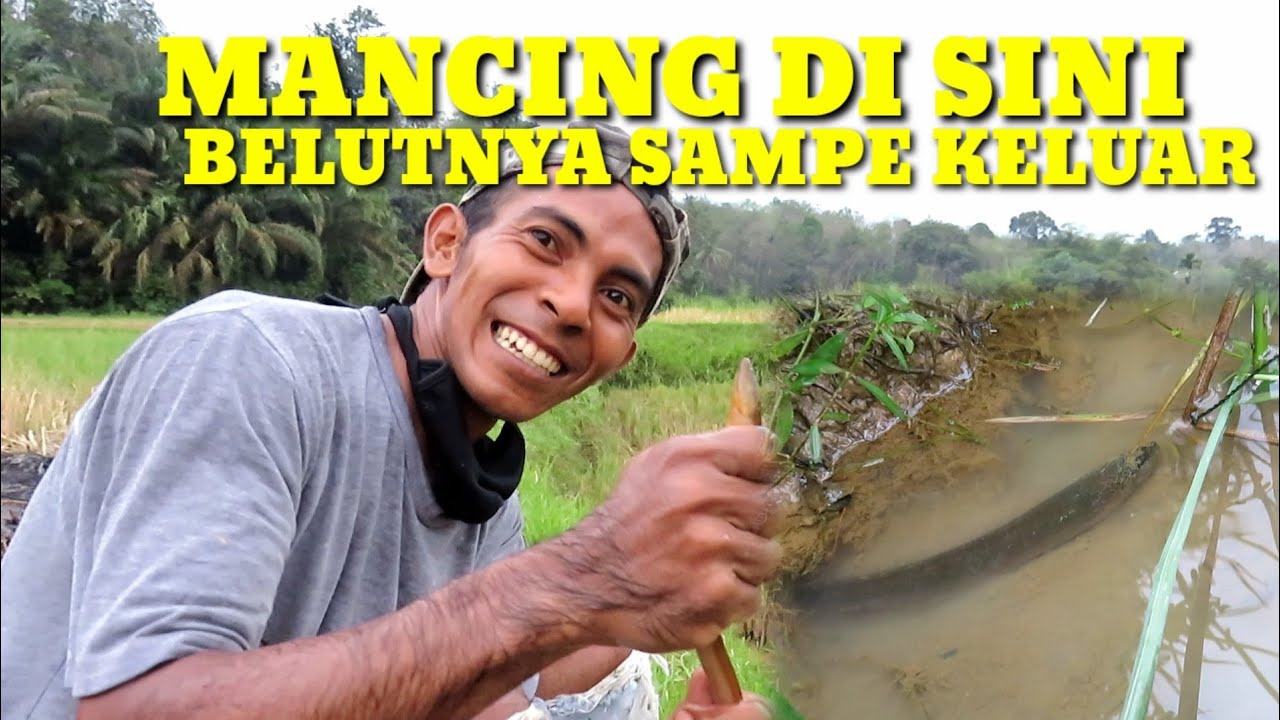 belut di sini RAKUS RAKUS..! SAMPE KELUAR LUBANG..