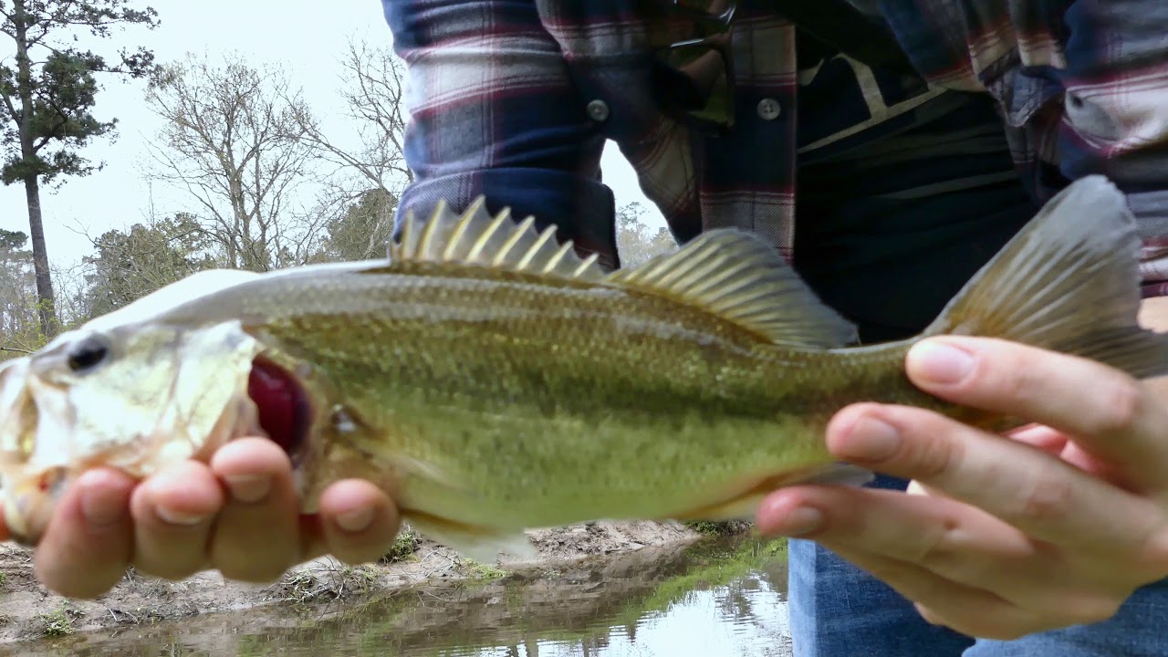 Strike King Mini King: Go to for ultralight fishing