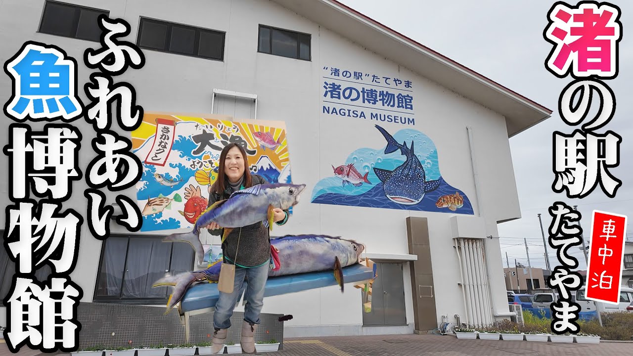 千葉南房総車中泊の旅！ぎょぎょぎょ！さかなクンも愛する渚の博物館へ！