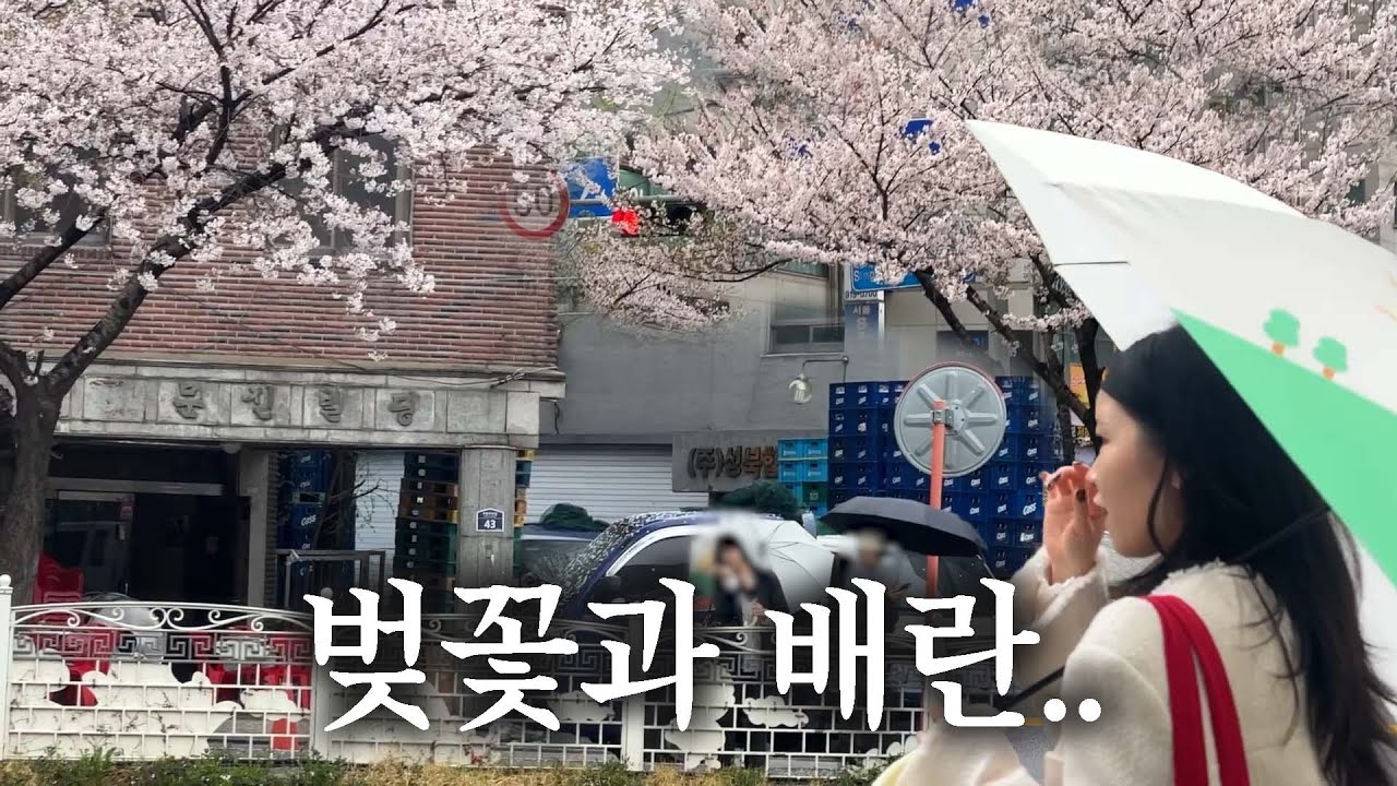 🌸벚꽃·먹방·쇼핑 그리고 배란테스트기까지｜현실 일상 브이로그🌸