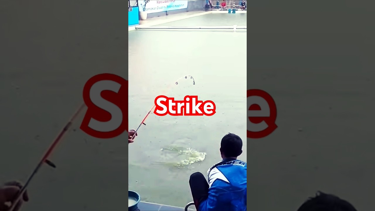Mantap...!!!!  Ini Baru Mancing Asyik #shorts #autoclave