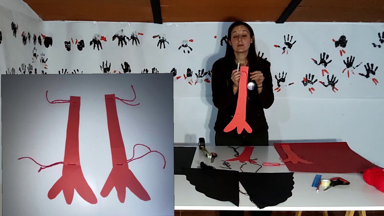 Tutorial disfraz Cigüeña Negra