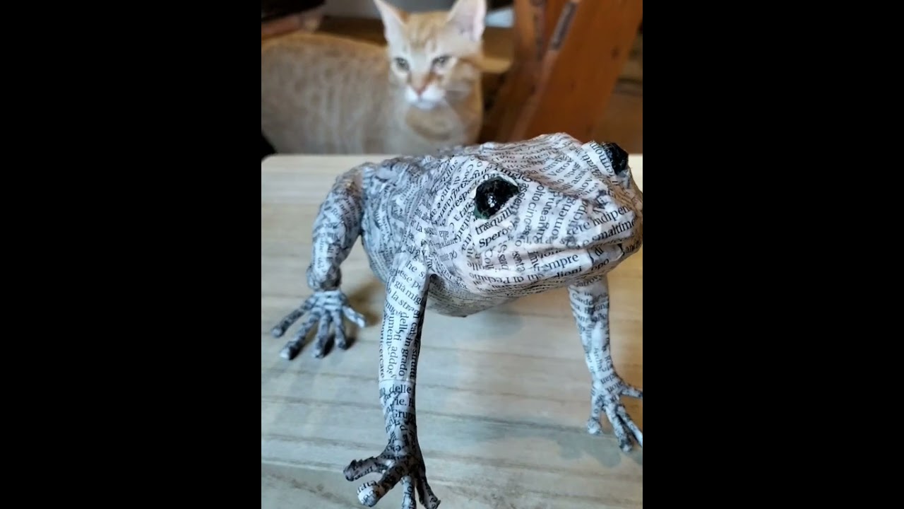 #rana #frog #artigianato #handmade #natura #nature #cartapesta  #papier-m&acirc;ch&eacute; #arte #art