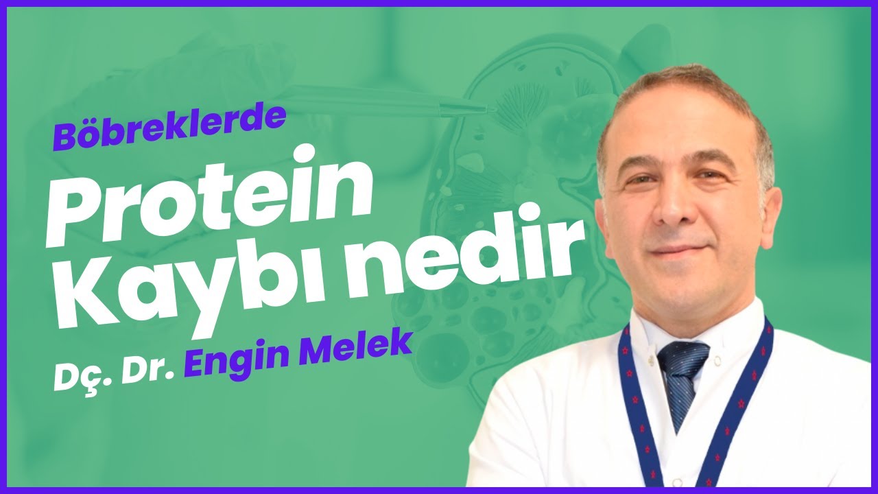 Böbreklerde Protein Kaybı Ne Demektir? - Doç. Dr. Engin Melek
