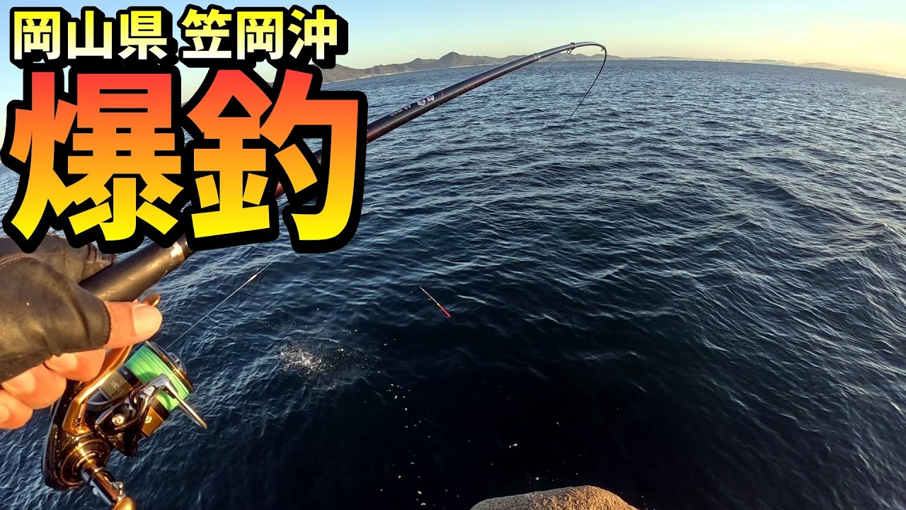 【爆釣】今が熱い！フカセ釣りで狙うミドル真鯛 in 岡山県笠岡沖