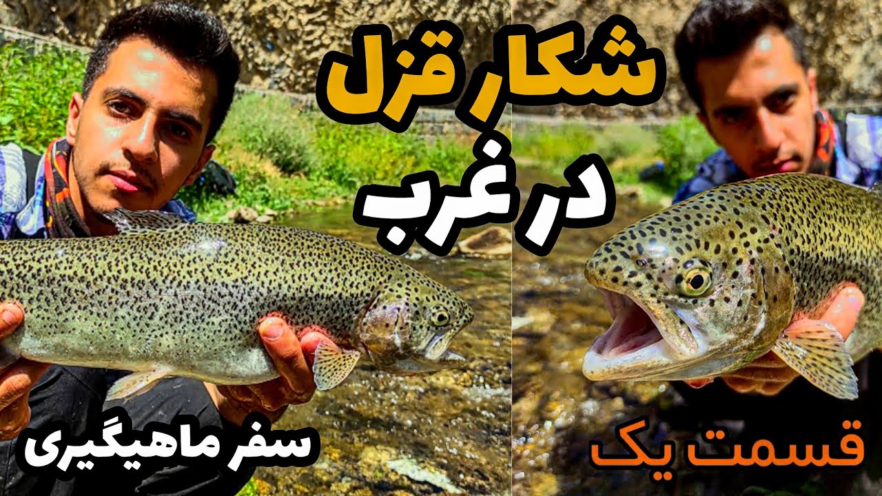 ماهیگیری ماهی قزل الا:سفرنامه ماهیگیری در غرب کشور شکار ماهی قزل الا در رودخانه قسمت یک