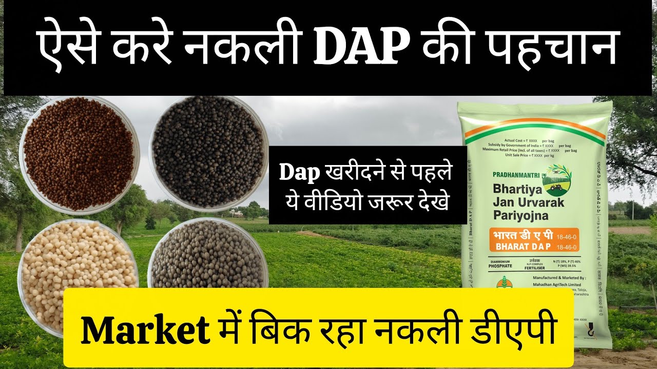  असली और नकली DAP की पहचान | Dap ki pahchan | Nakli dap ka pta kaise kre  #farming #agriculture 