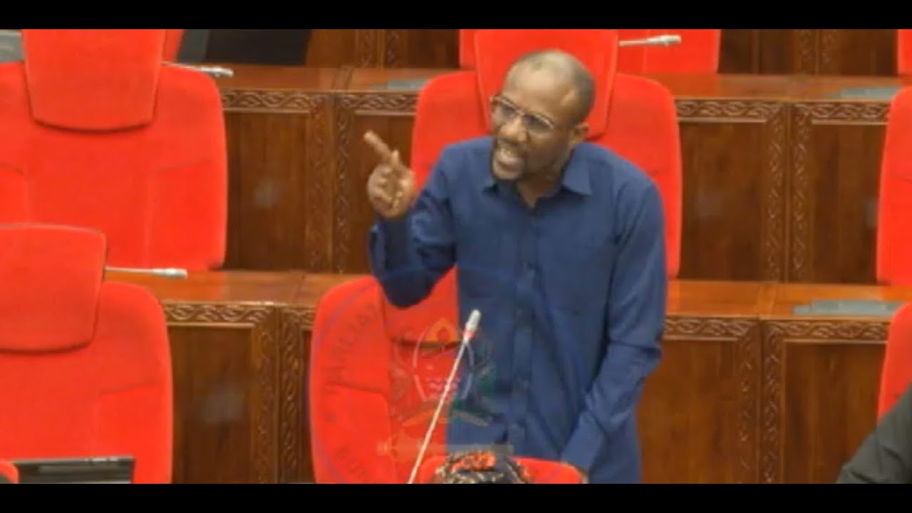 MBUNGE KASALALI AMBANANISHA WAZIRI WA RAIS SAMIA BUNGENI “NATAKA SERIKALI IWAJIBU WANANCHI”