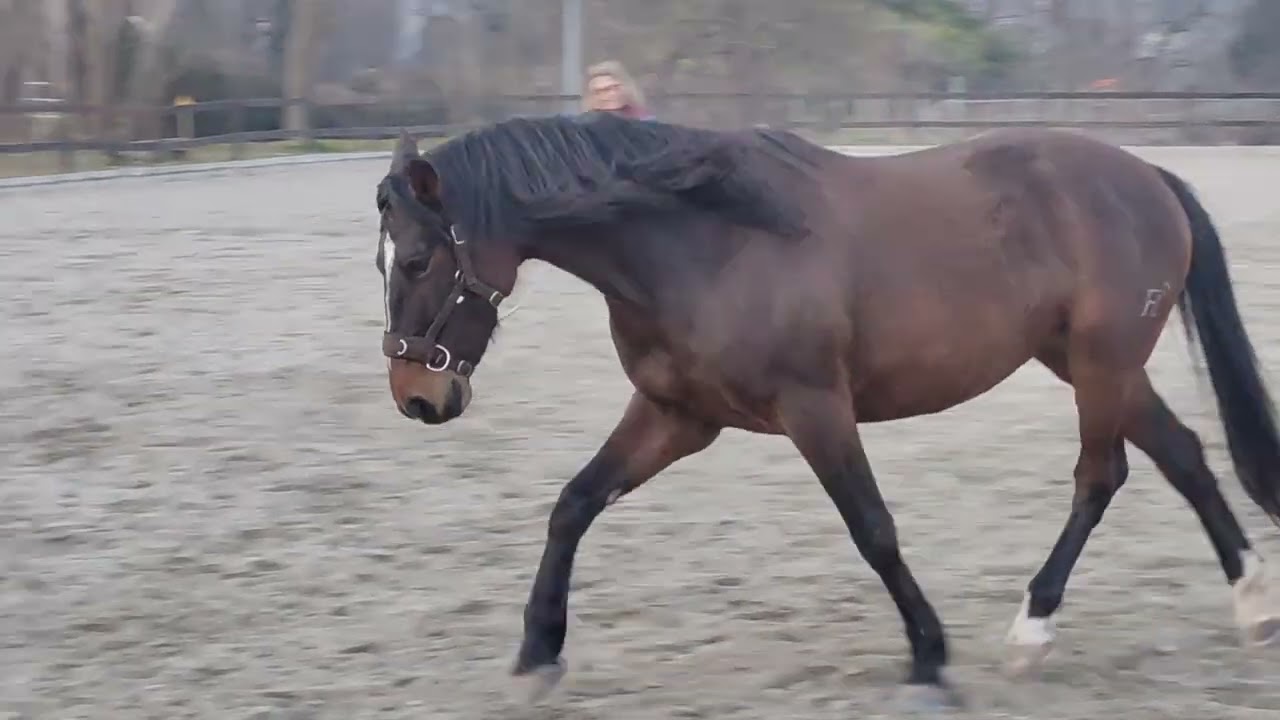 2025-02-23 Il ritorno di Indomita 😁 4