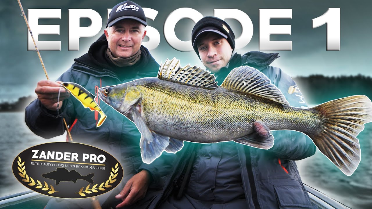ZANDER PRO - Episode 1