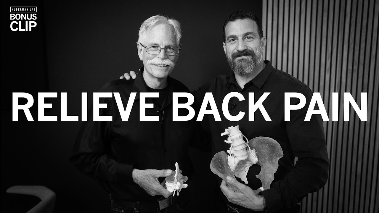 Back Pain Relief & Spine Anatomy | Dr. Stuart McGill & Dr. Andrew Huberman