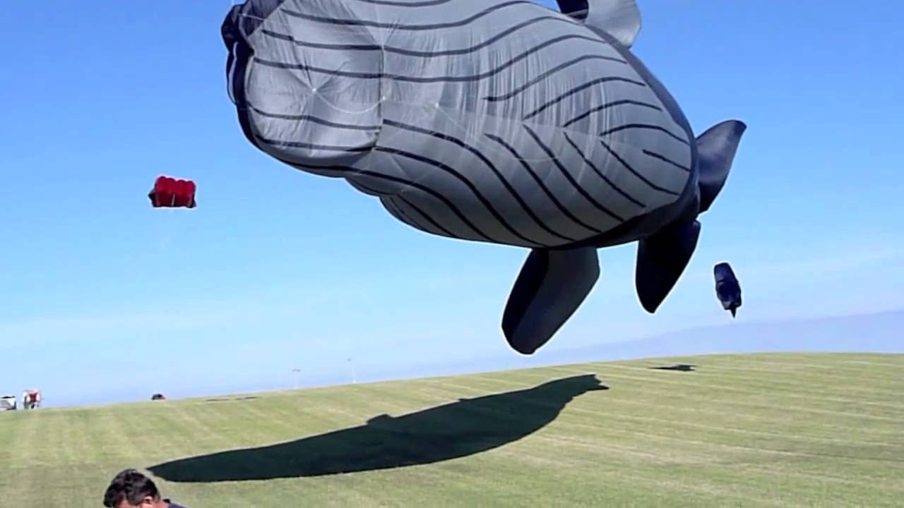 Mel's Maiden Flight