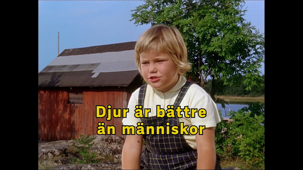 Djur är bättre än människor