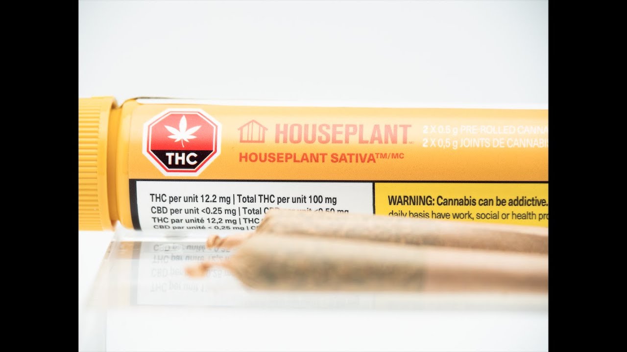 Ep.9 HOUSEPLANT Sativa Pre-Rolls Review - Hydro High Views