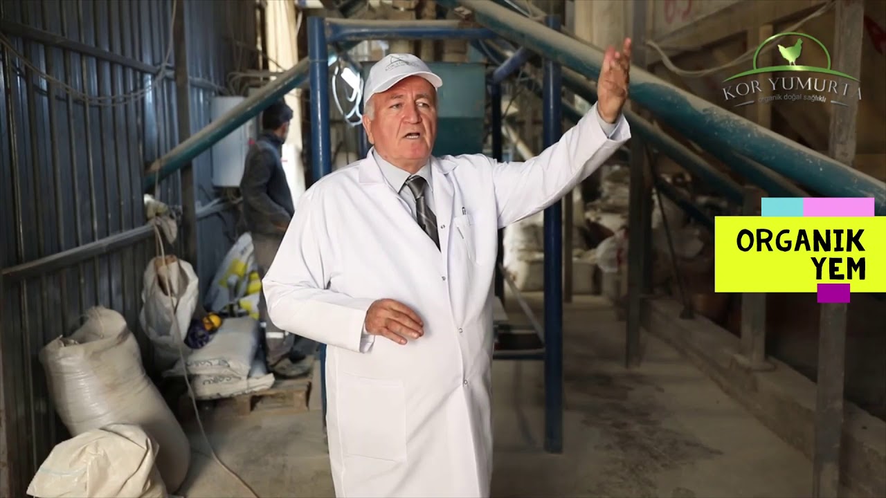 Organik Tavuk Yemi Nasıl Hazırlanıyor? How Organic Feed is Prepared?