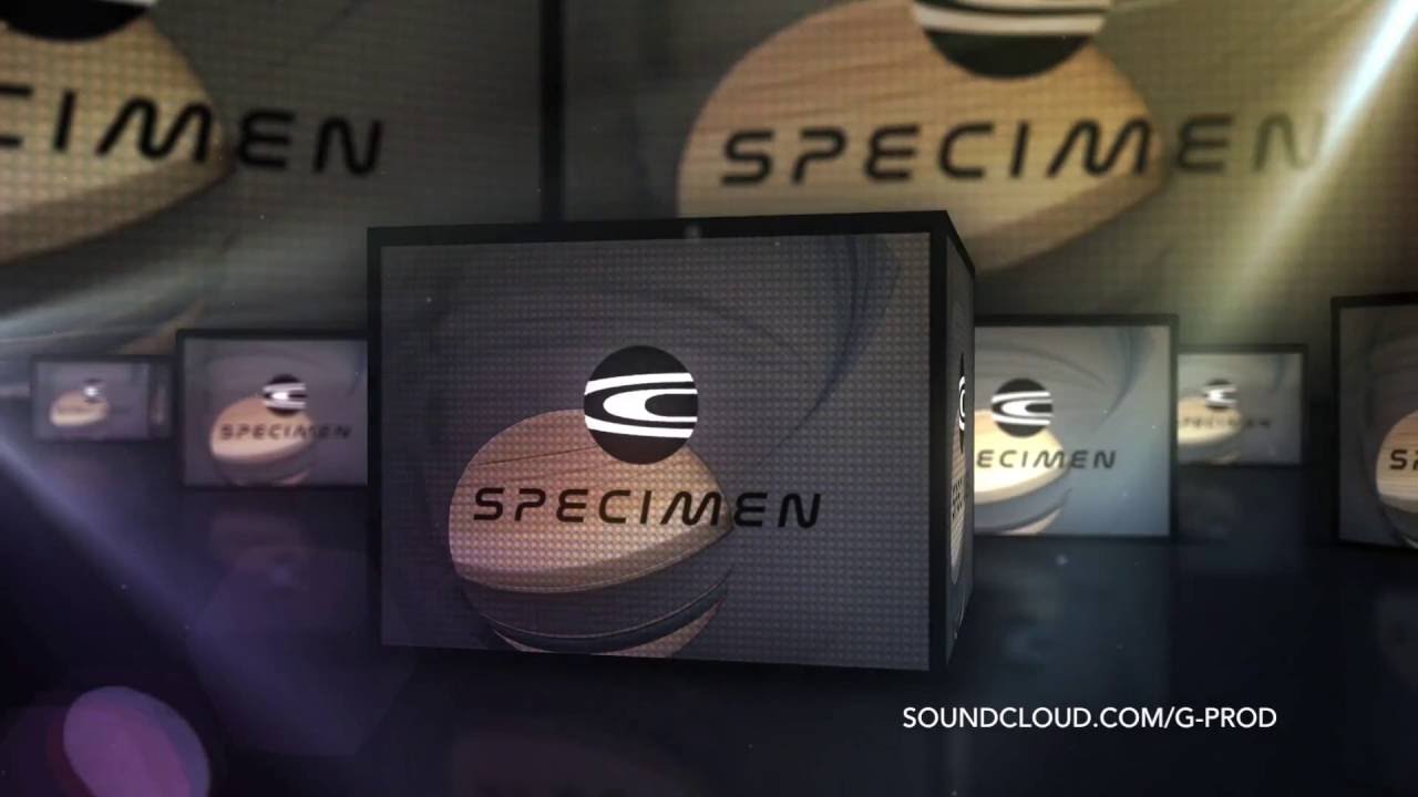 G Prod  - Nebula Forms EP -   Specimen Records