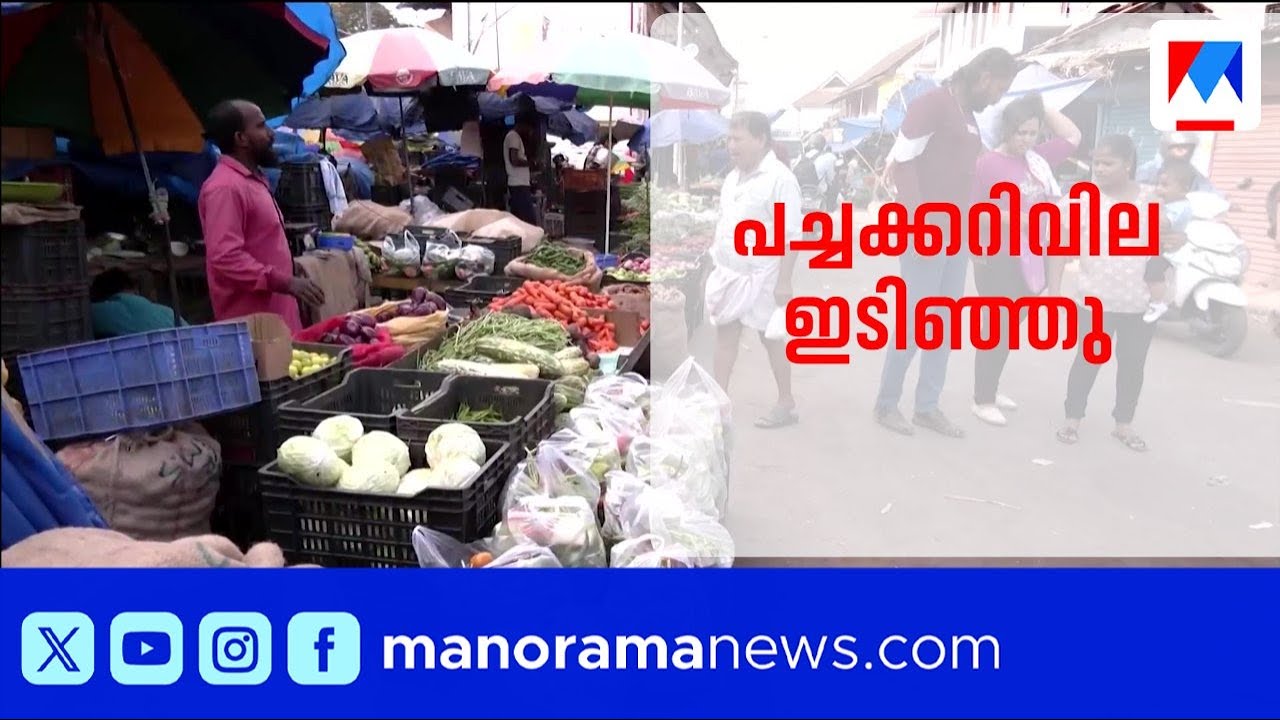 യുദ്ധവും പ്രതിസന്ധിയും പച്ചക്കറി വിലയിൽ; പച്ചക്കറി വിലയില്‍ ഇടിവ് | Vegetables | Price Drop