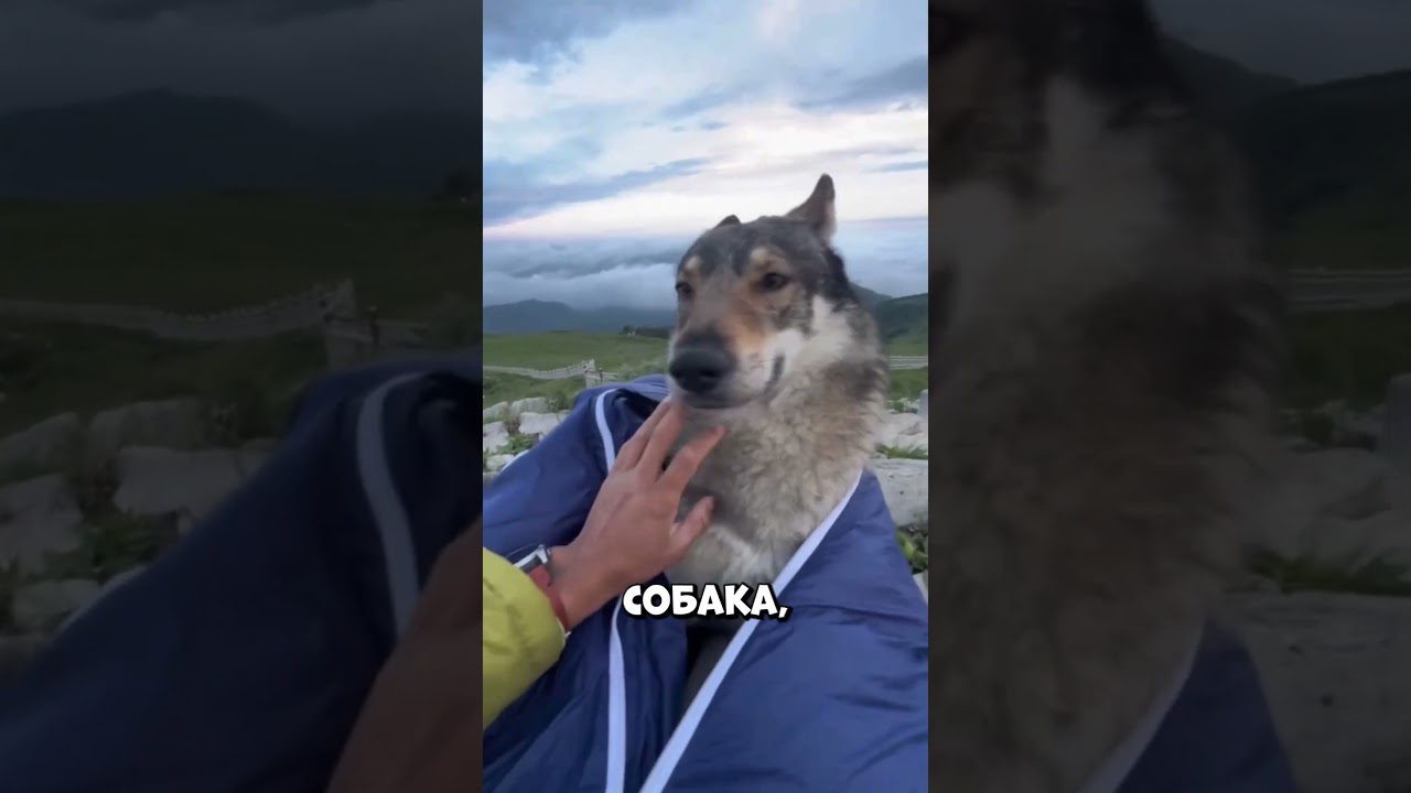 Кто оказался у него в спальнике в горах 