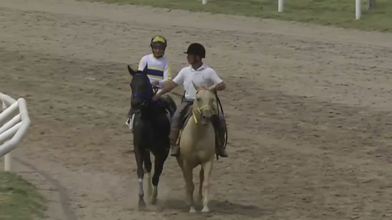 1/23/2026 – Hipodromo Colonia – Carr 6 –