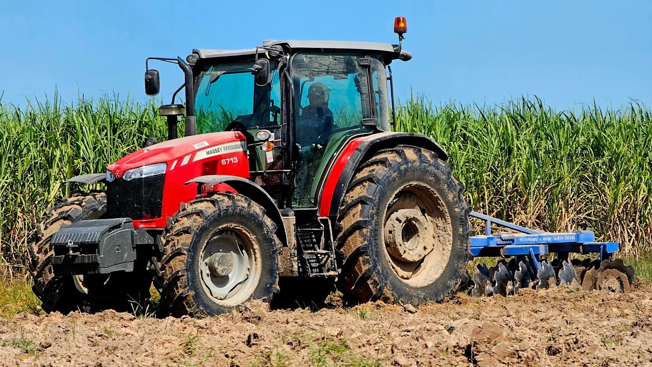 Ep.180:Massey 6713 132Hp ลากหาง 22 จานตัดร่องแบบชิวๆเลย