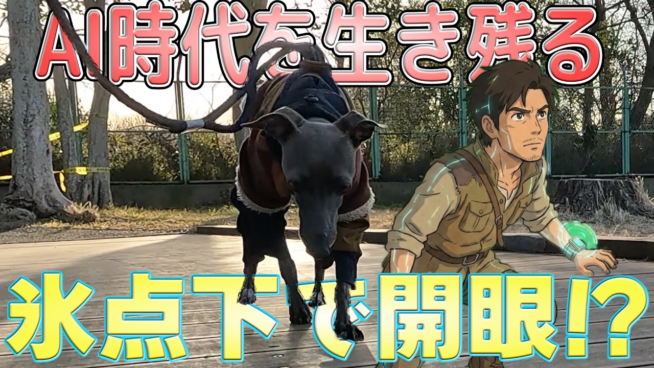 防御力を上げろ！ニアと暮らし続けるための生存戦略2026