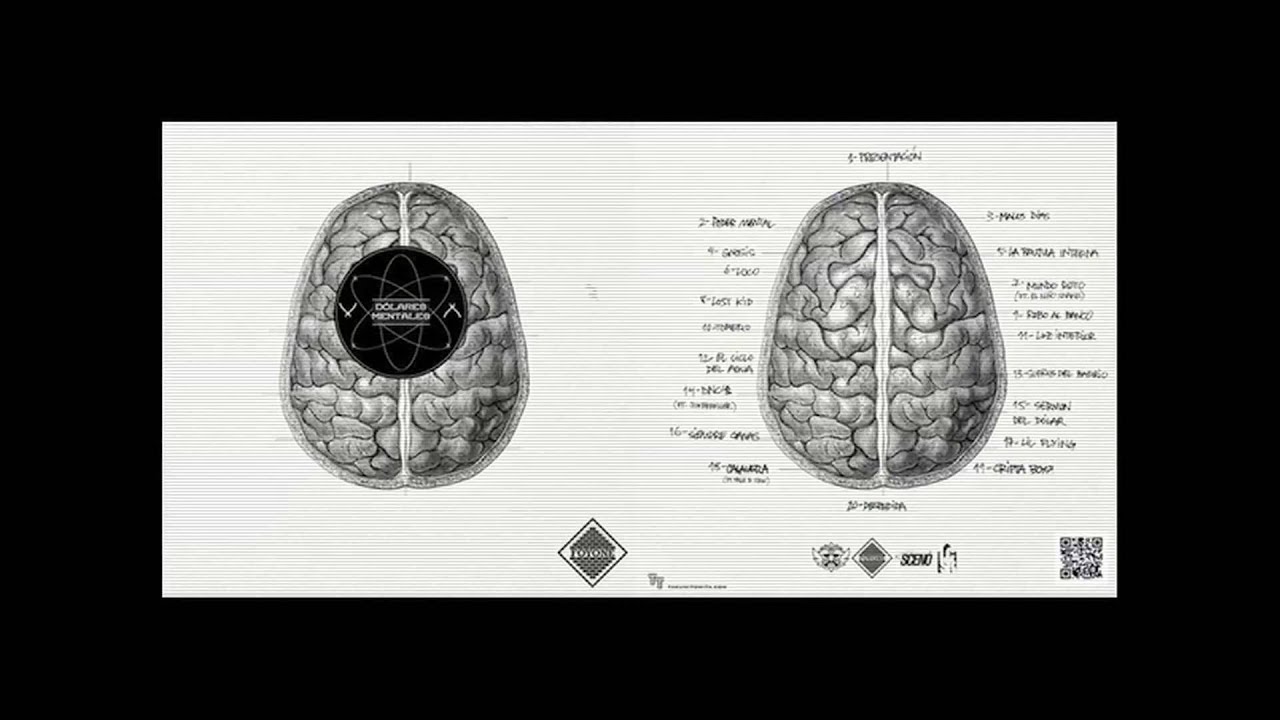 ||FOYONE|| 18 CALAVAVERA con Spok & Kale Prod. Sceno