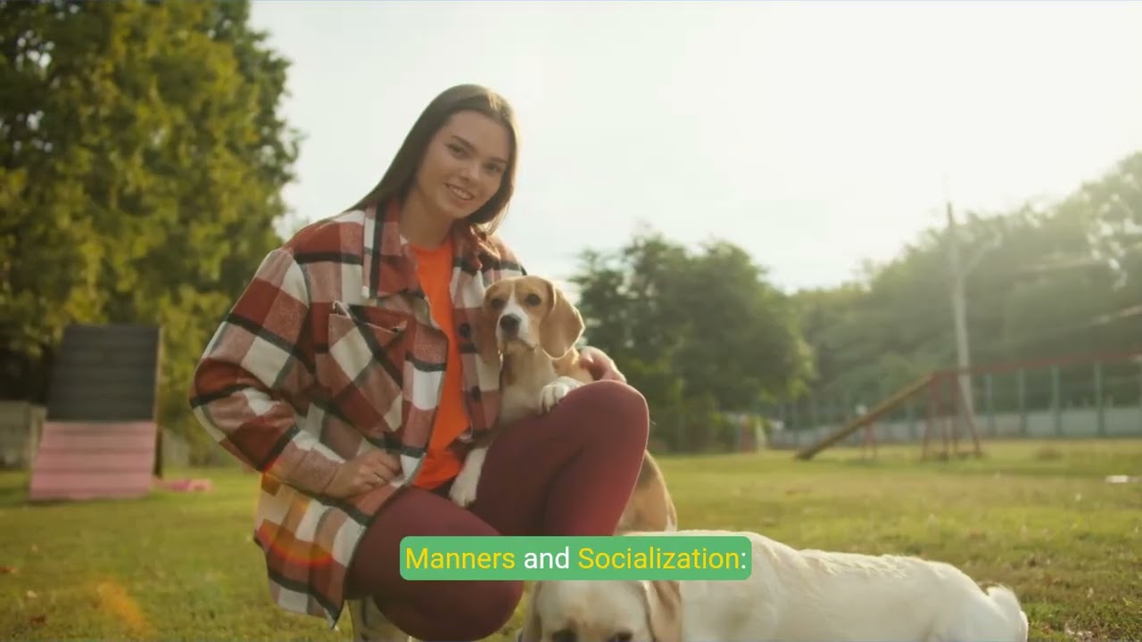 Master the 'Heal' Command  A Complete Guide to Dog Training