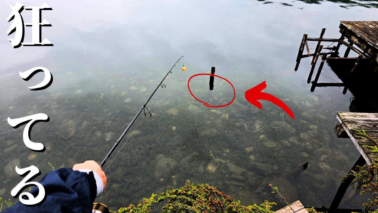 長野県のとある湖の生態系が外来種と国内外来種によってグチャグチャにされている件