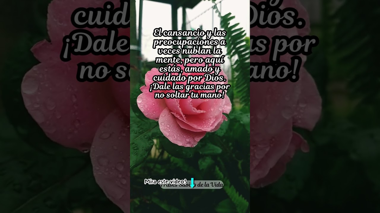 Dale gracias a Dios/Frases Inspiradoras/Frases positivas