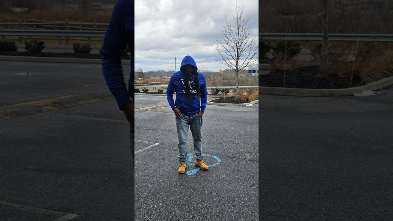 LION FLOW 2 OBESERVANT 
