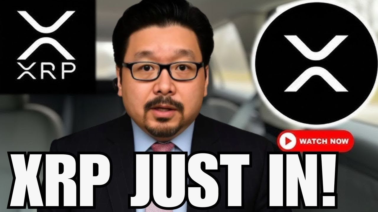 ТОЛЬКО В ЧИСЛАХ XRP ETF! 🚨