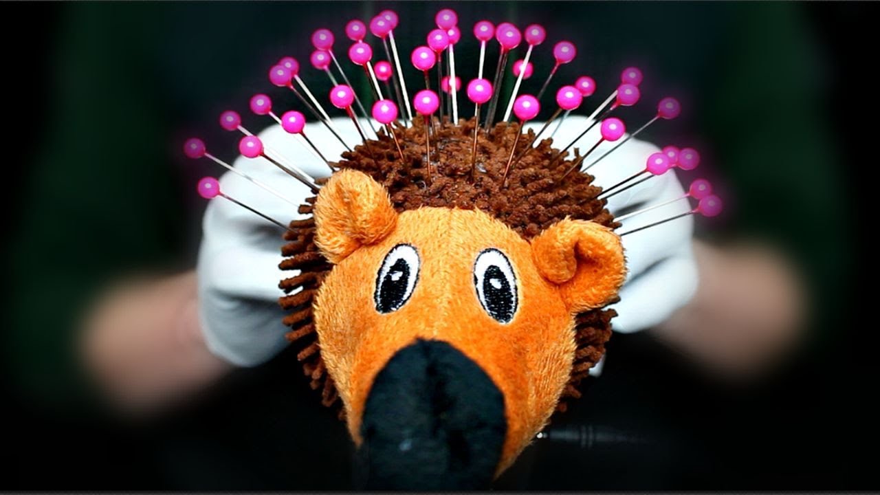 ASMR Acupuncture & Head Massage with Hamilton the Hedgehog (No Talking)