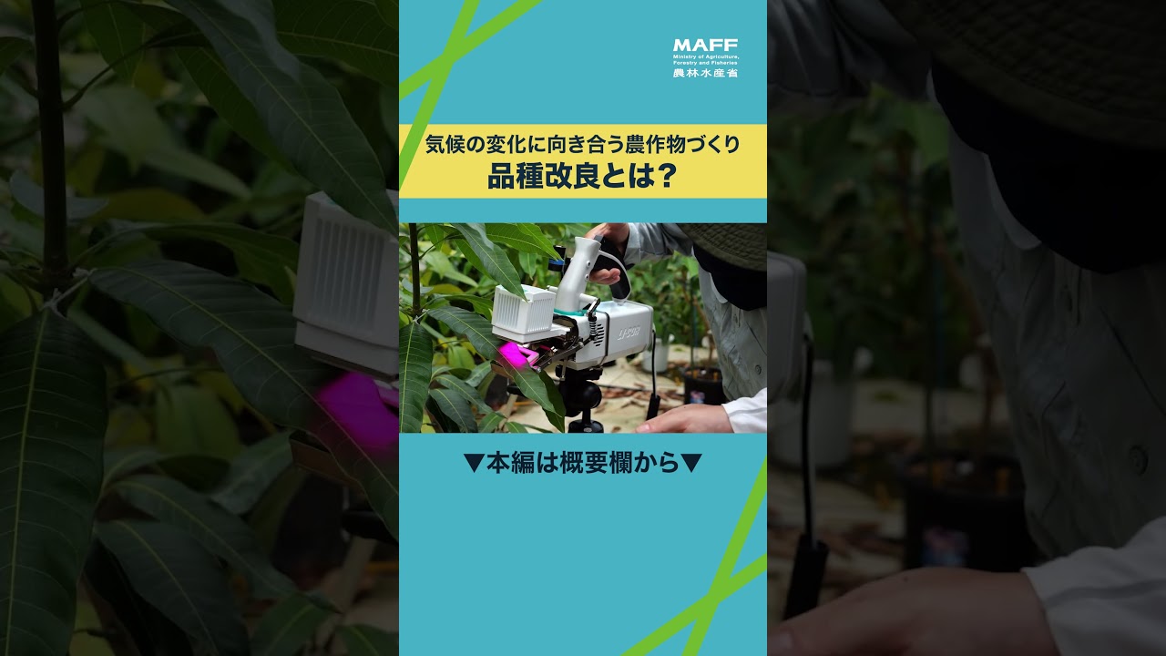 気候の変化に向き合う農作物づくり　～未来の食を支える研究～