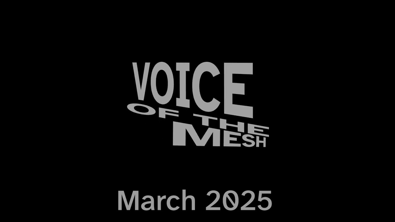 Meshtastic is city approved? New hardware and protests - Meshtastic News March 2025