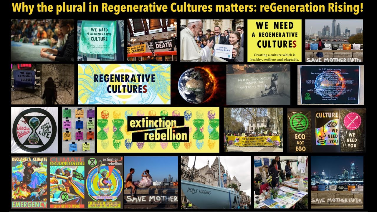 Why Regenerative Cultures? - decolonialising, diversity & the reGeneration rising (Daniel Wahl)