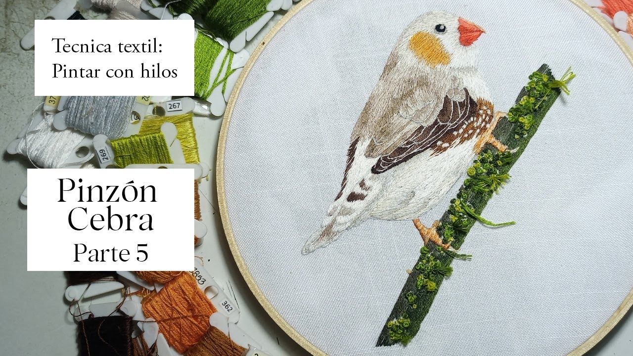Pintar con hilos un Pinzon Zebra. Bordado Realista Pajaro Pintar con hilos de forma realista PARTE 5