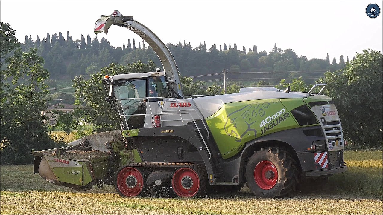Claas Jaguar 40000 TT + Direct Disc 520 - Gruppo Nodari - Wheat silage 2023