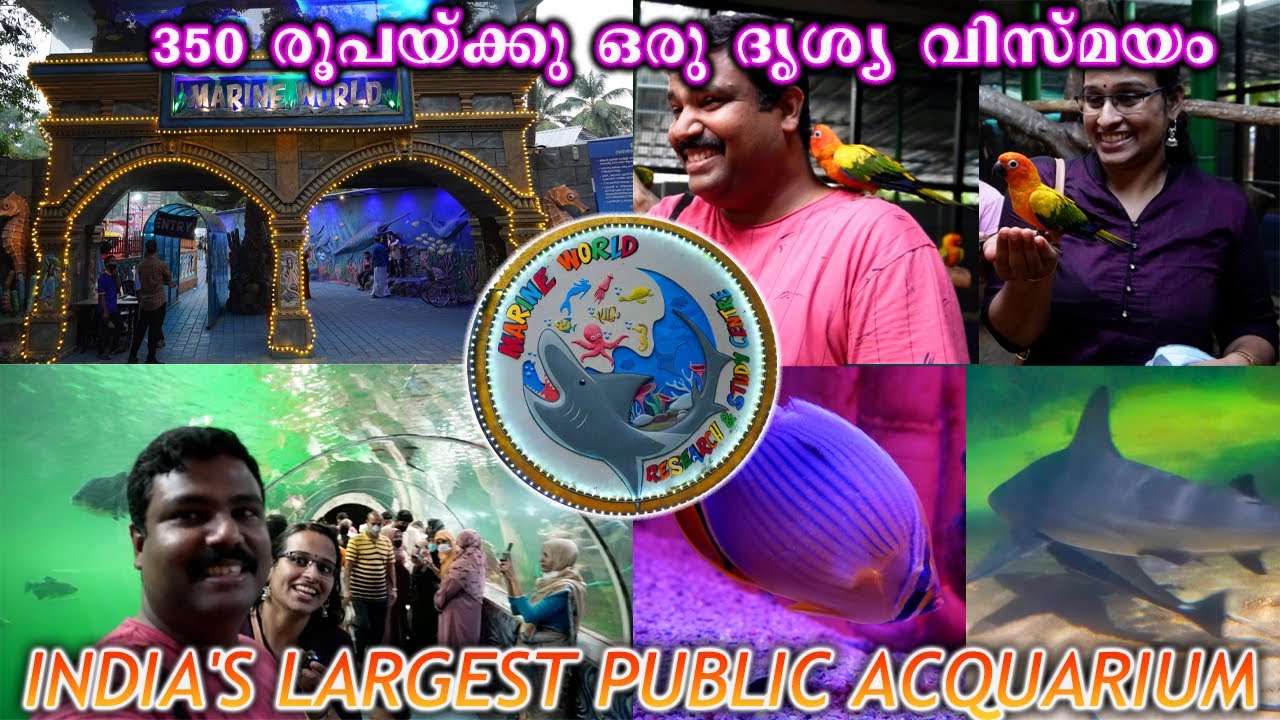 Marine World Aquarium Chavakkad | Panchavadi Beach | India's Largest Public Aquarium