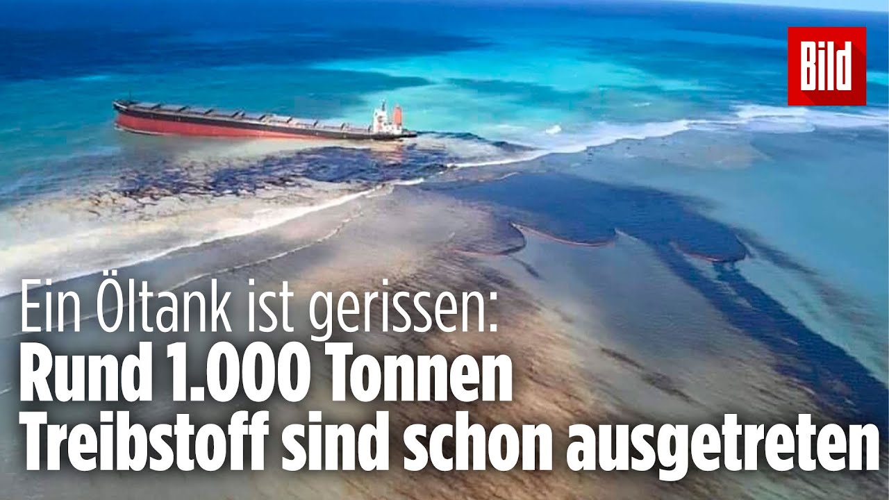 Umwelt-Notstand ausgerufen! &Ouml;lkatastrophe vor Mauritius