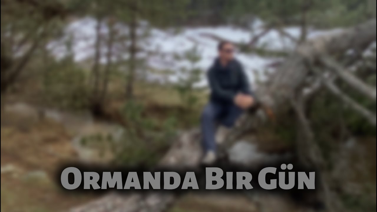 Tek Başına Ormanda | “Kar ve Sessizlik”