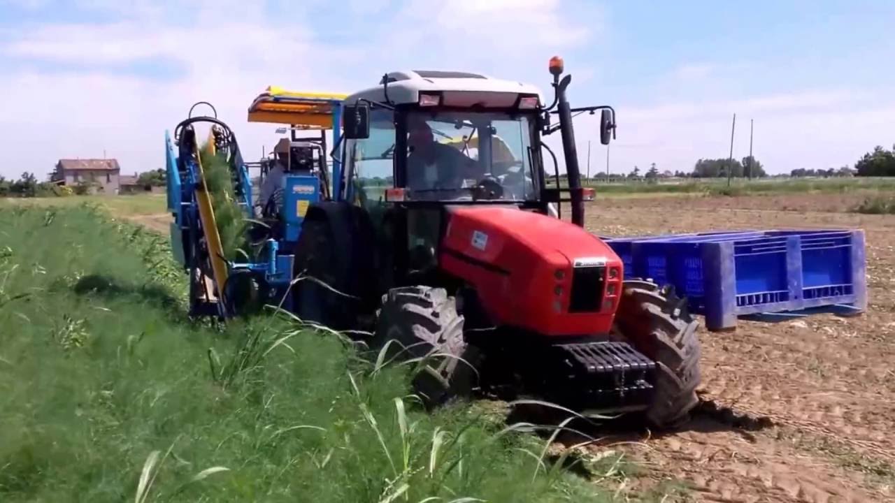 EUROPA F285 fennel harvester