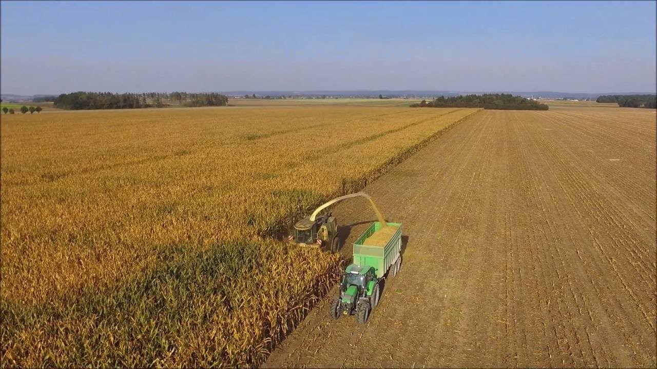 Silieren Pf&auml;fflingen 2 - Krone BiG X 1000