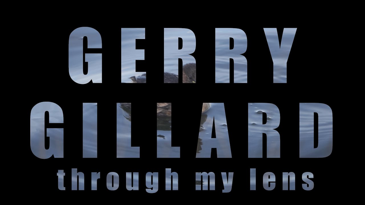 Through My Lens 08. Cornwall Wildlife. Original Music by Gerry Gillard.