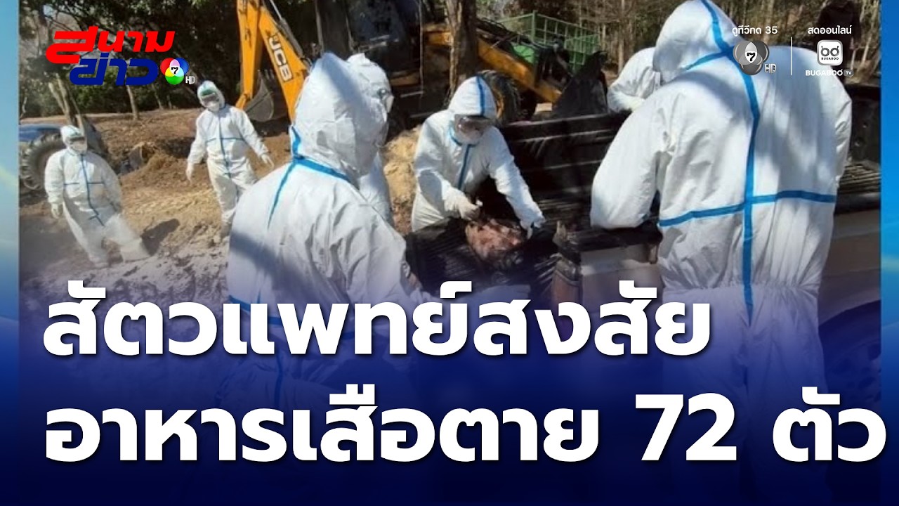 สัตวแพทย์สงสัยอาหารทำเสือตาย 72 ตัว หวั่นซุกปัญหาใต้พรม | สนามข่าว 7 สี