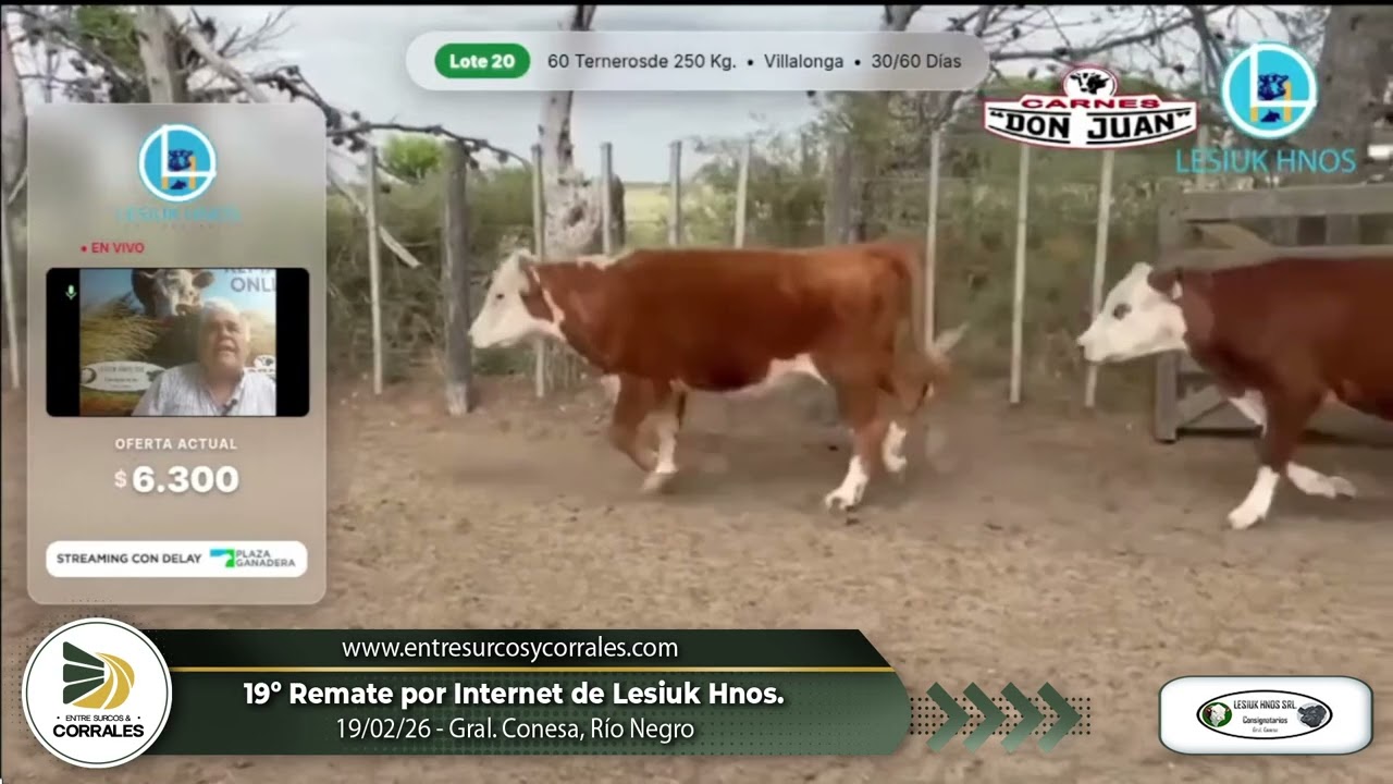 19-02-26 - 19º Remate por Internet de Lesiuk Hnos. - Gral  Conesa, Río Negro