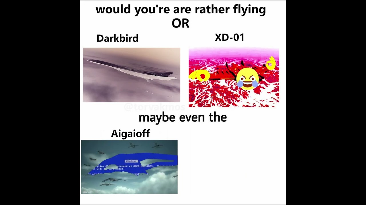 would you're are rather fly 