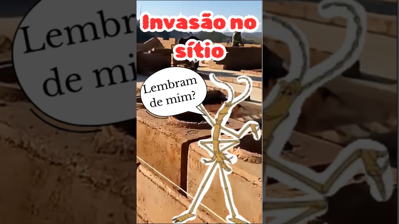 inseto EX&Oacute;TICO invadindo a nossa constru&ccedil;&atilde;o! #shorts #insects #tijoloecologico
