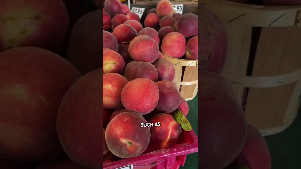 Two Great Local Farm Markets Medford NJ - Part 1