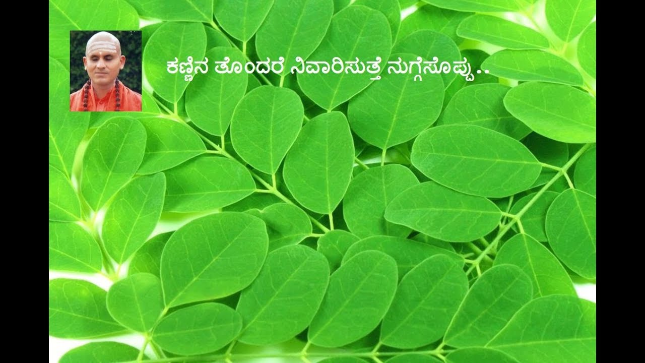 ನುಗ್ಗೆಸೊಪ್ಪು ಪ್ರಯೋಜಕಾರಿ, ನುಗ್ಗೆಕಾಯಿ ಬಹಳ ರುಚಿಕಾರಿ! Sri Basavananda Swami-Benefits of Drumstick Leaves